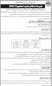 State Bank of Pakistan Merit Scholarship .educationbite.cm